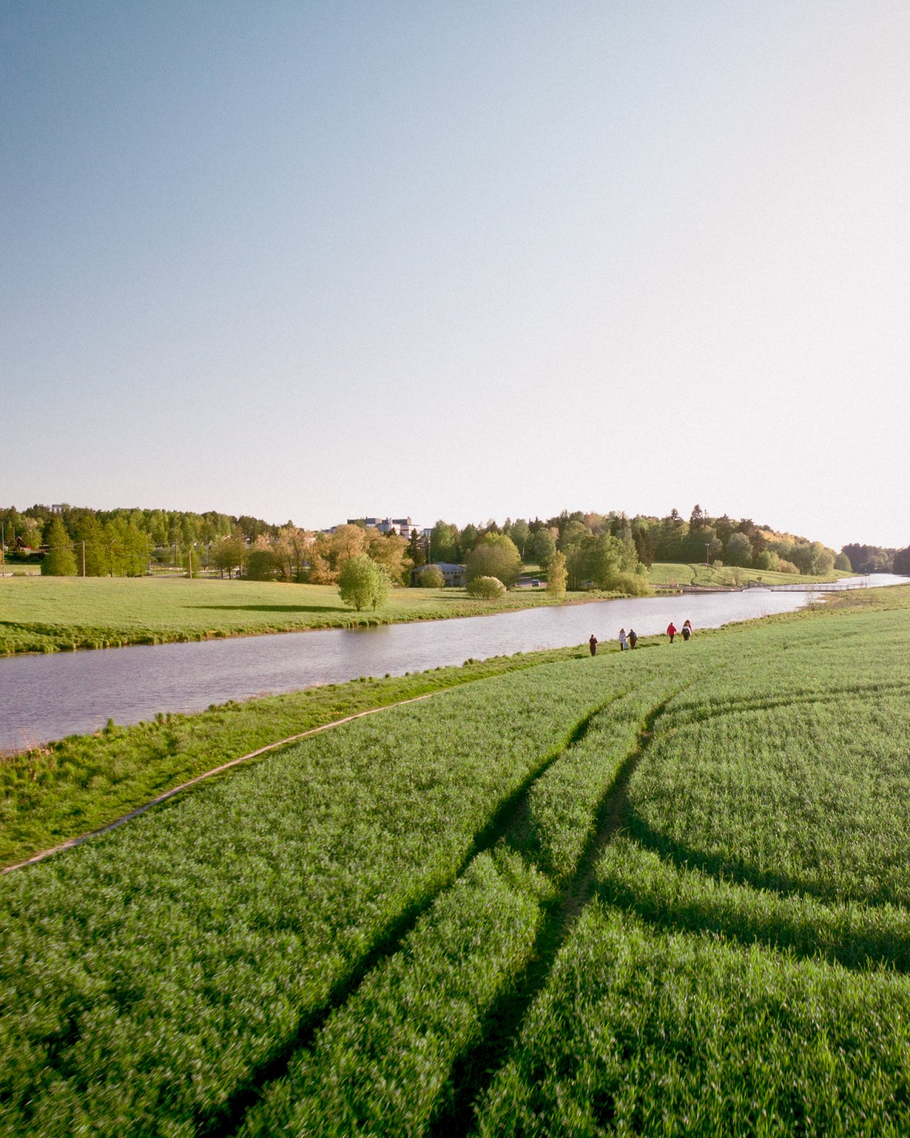 Aurajoki kuvattuna pellon varrelta