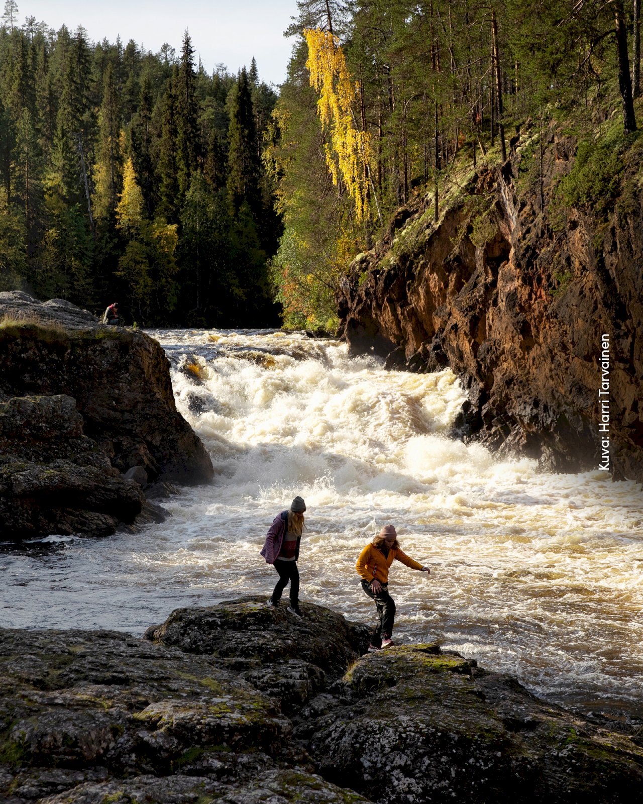 Kaksi retkeilijää Kuusamon Kiutakönkään koskella