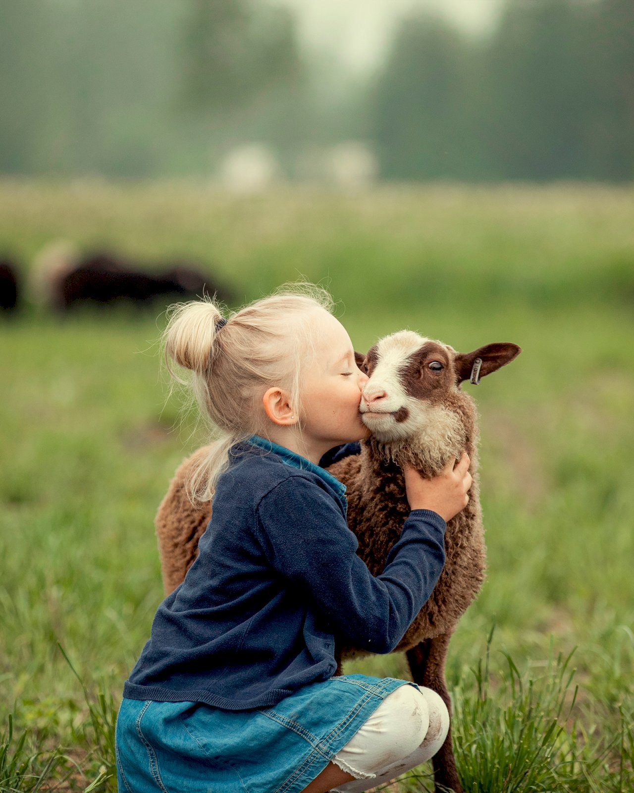 Lapsi ja lammas nurmikolla