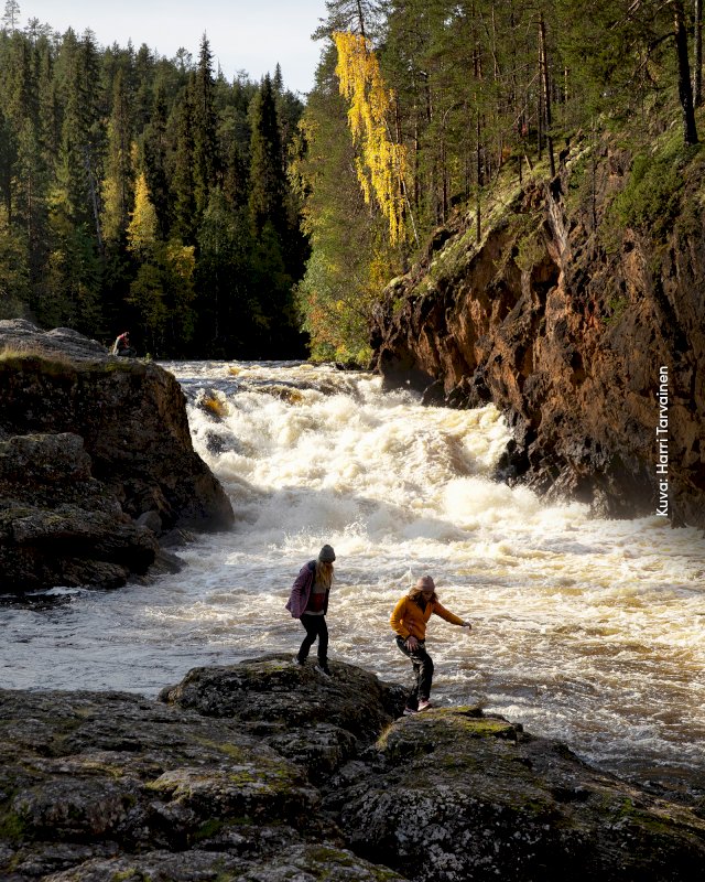 Kaksi retkeilijää Kuusamon Kiutakönkään koskella