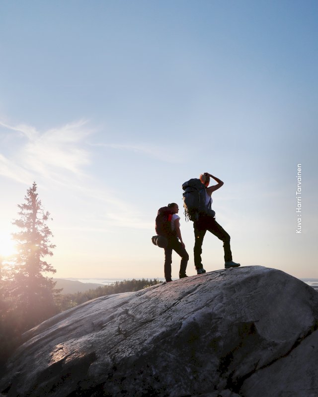 Retkeilijät Kolin kalliolla tähyilemässä maisemaa auringonvalossa