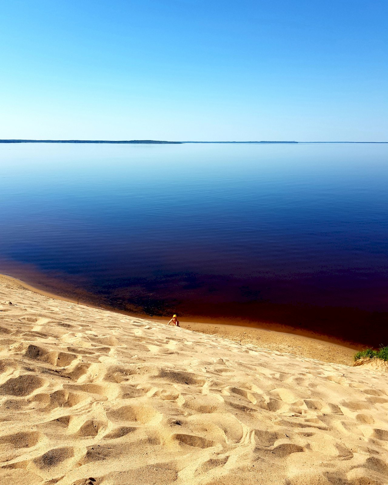 Ärjänsaaren rantaviiva