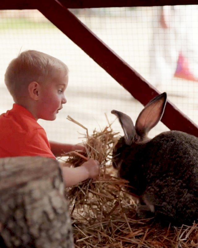 Lapsi ja kani heinäkasassa Koivuniemen herran farmilla Porissa
